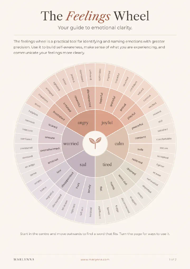 The Feelings Wheel cover